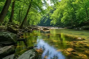 Black River Levels