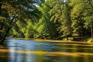 Elk River Levels