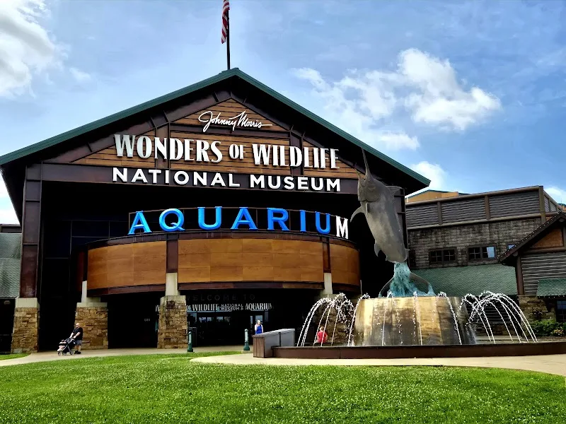 Wonders Of Wildlife National Museum & Aquarium