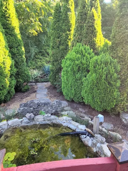 Dwarf Conifer Garden