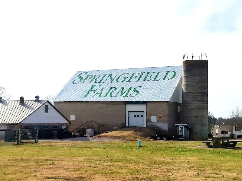 Springfield Farms