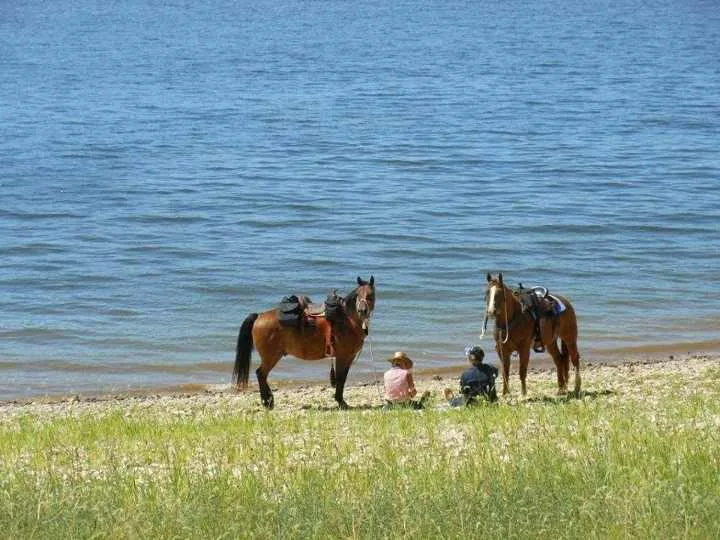 V.P. Lone Star Campground