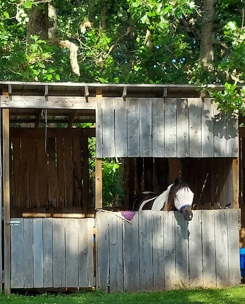 Pomme de ridge horse camp and campground