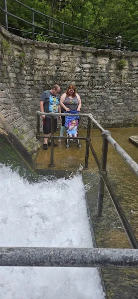 Roaring Rivers Special Use Area