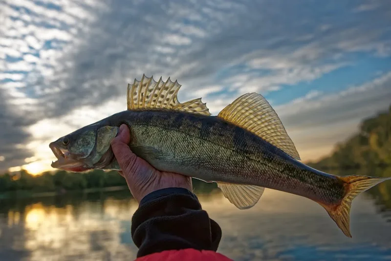 Fletcher's Fishing Guide Service