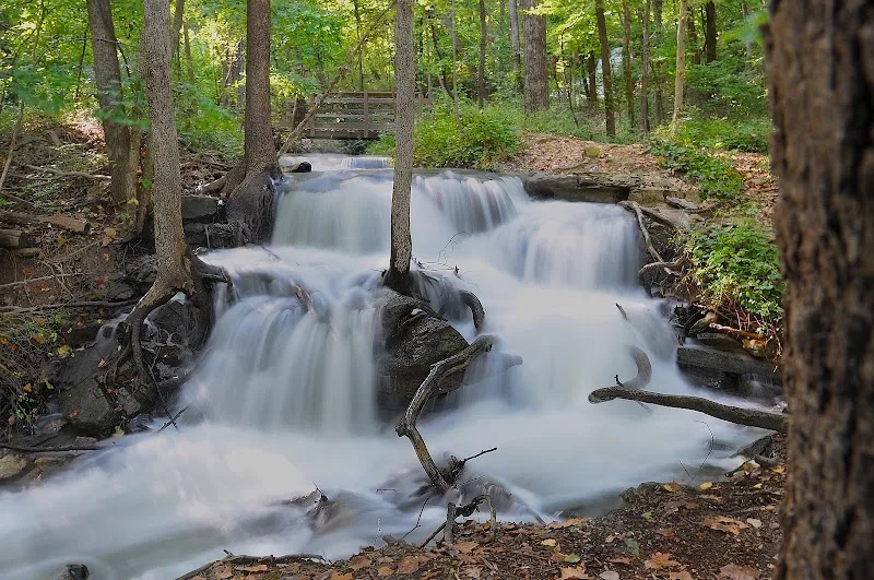 Parkville Nature Sanctuary