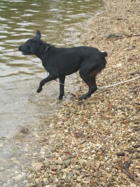 Aunt Creek Boat ramp