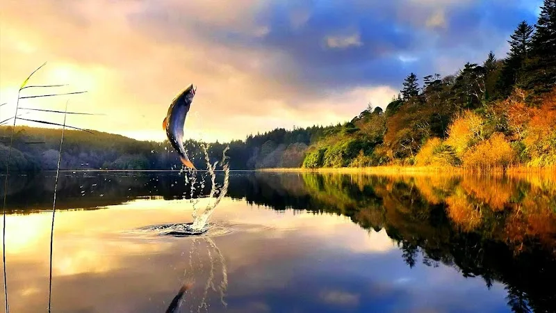Branson Guided Fishing Trips