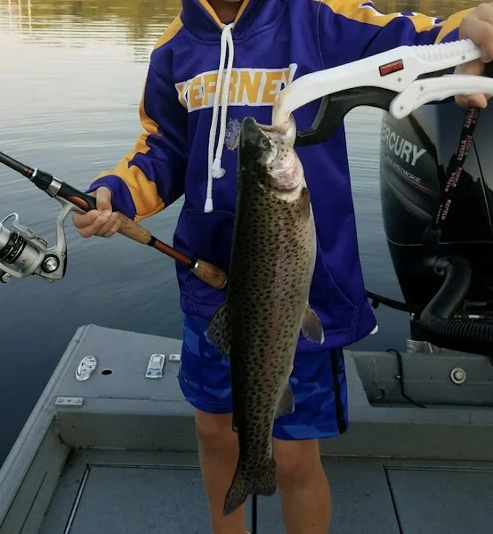 Branson Fish Tales