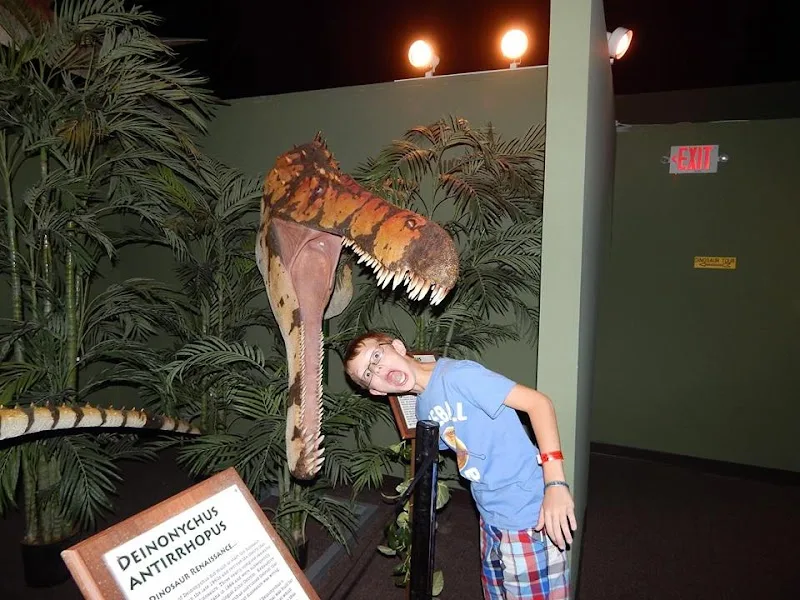Dinosaur Museum
