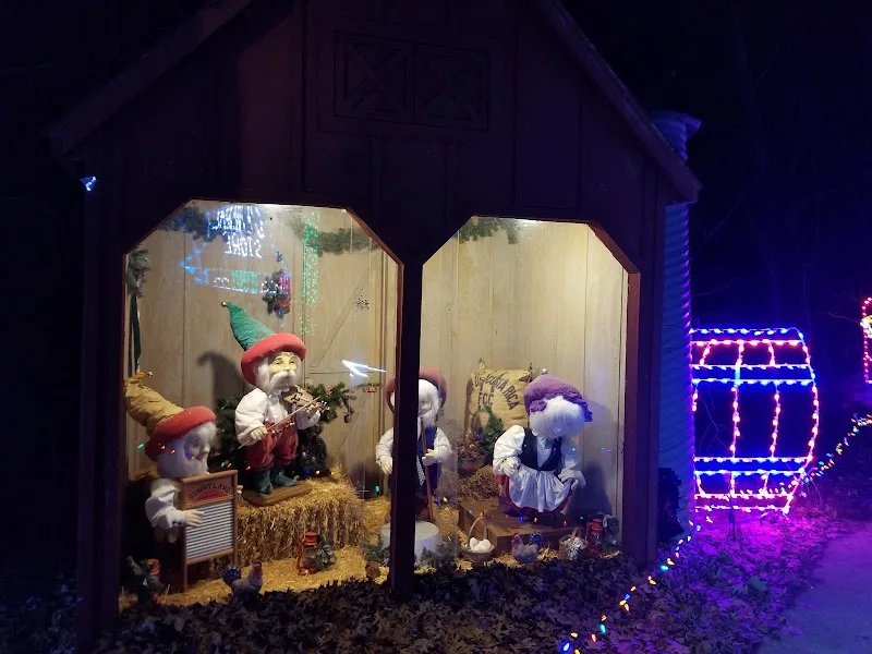 Trail Of Lights