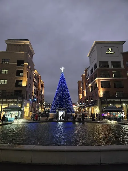 Branson Landing