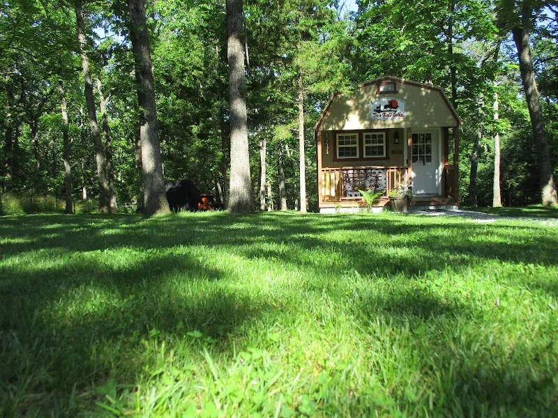 Hidden Oaks Ranch Cabin Getaways