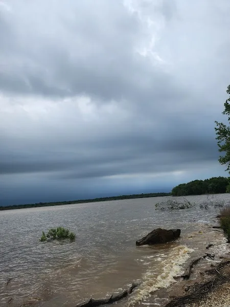 Cooper Creek Public Use Area