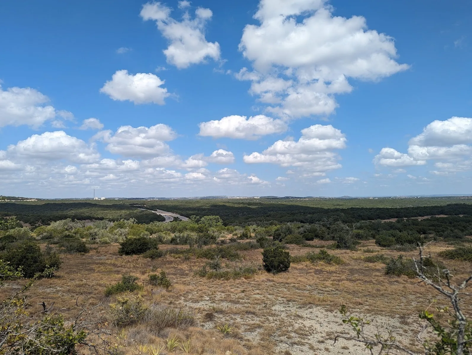 Synchronous fireflie breeding habitat preserve