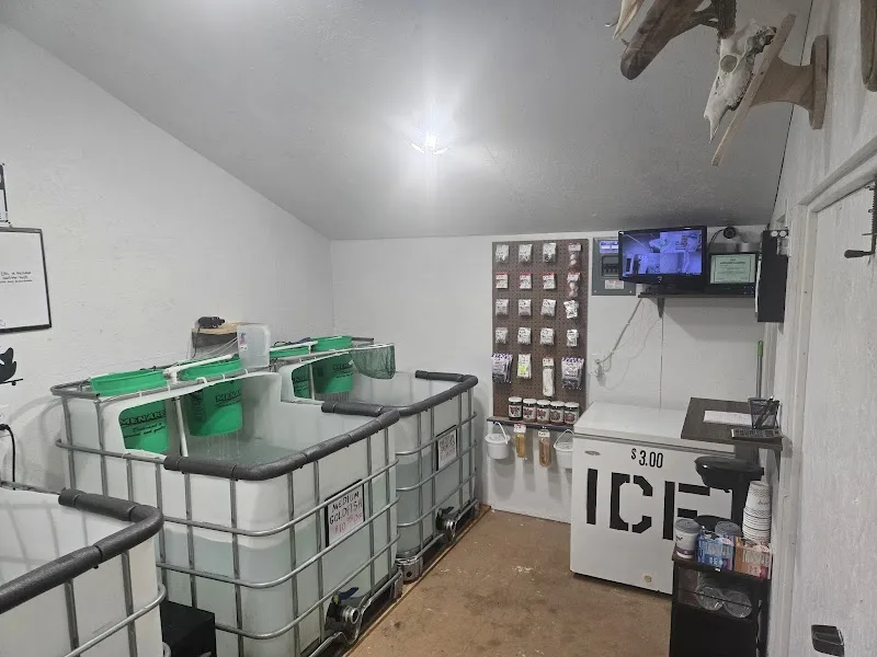 Lorenzo's Bait Shed
