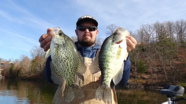 Ole Blue Tackle