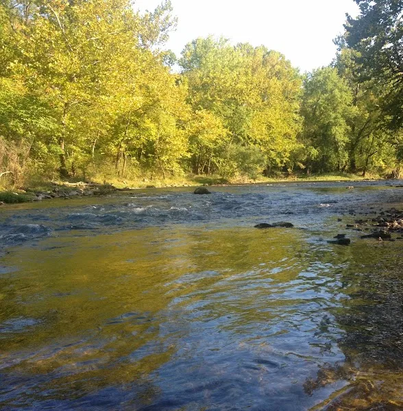 Maggard Canoe & Corkery Campground