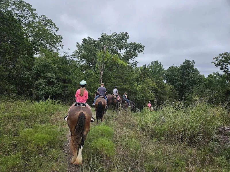 The Clydesdale Experience and Campgrounds