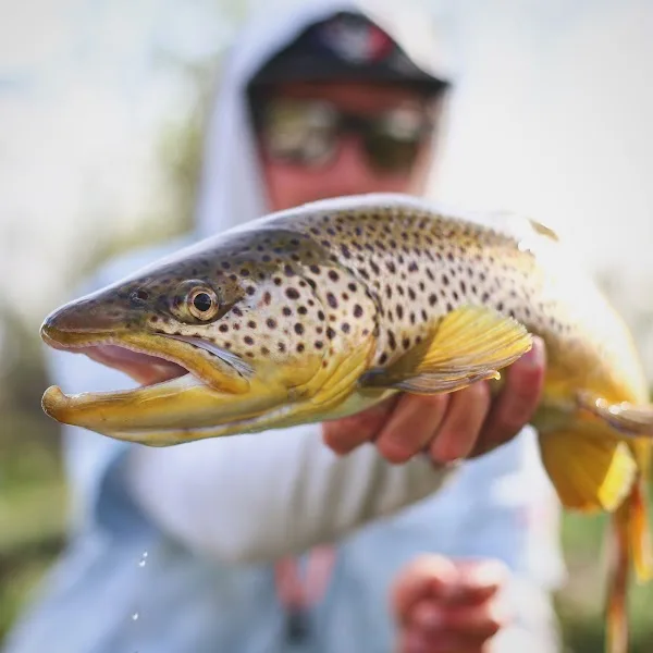 Riffletrip Outfitters