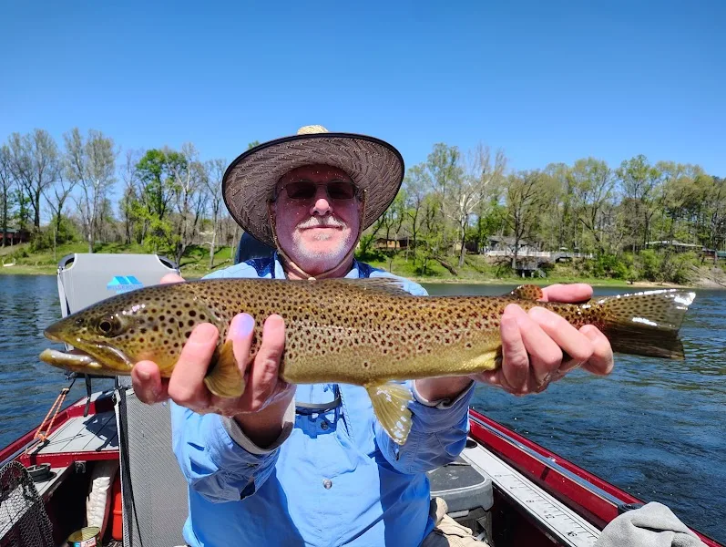 All About Trout LLC